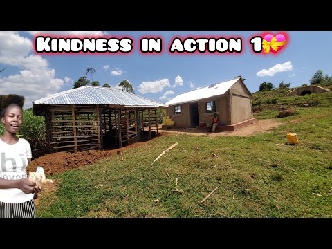 Видео: ВЛИЯНИЕ РЕАЛЬНО 💪 | ПОСЛЕДНИЕ ДОСТИЖЕНИЯ ЛЕДИ ЛАВАНДЕРД! #благотворительность