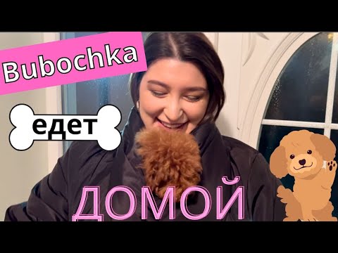 Видео: Бубочка Нагенс Наки - или как мы забирали собаку! Нино Росебашвили и Майкл Наки