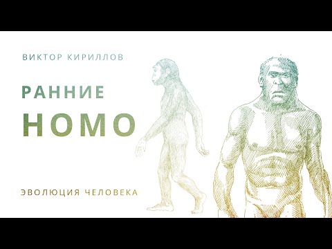 Видео: 10. «Ранние Homo».  Происхождение человека - 10 класс