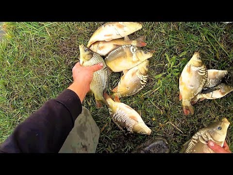 Видео: Проект "Аренда водоёма" 40 (ДР)