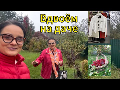 Видео: Осень на даче. Калина, сентябрины. Покупки в FAMILIA. Примерки красивых пальто.
