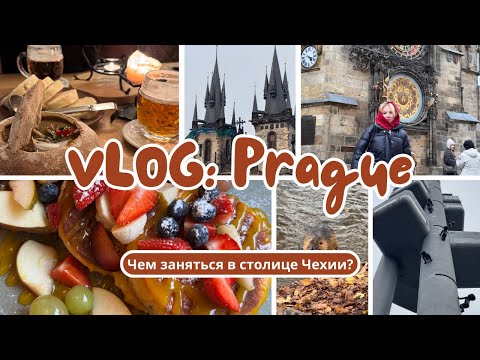Видео: Из Вены в Прагу на weekend // Чем заняться в столице Чехии? // Водные крысы - Нутрии! // Tasty spots