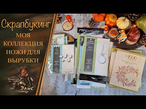 Видео: Скрапбукинг: Моя коллекция ножей для вырубки.Ecopaper,Mimicut,Memorybox.#скрапбукинг#ножидлявырубки