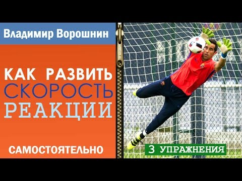 Видео: ТРЕНИРОВКА РЕАКЦИИ, ПРАКТИЧЕСКИЕ УПРАЖНЕНИЯ. Как развить скорость реакции у себя