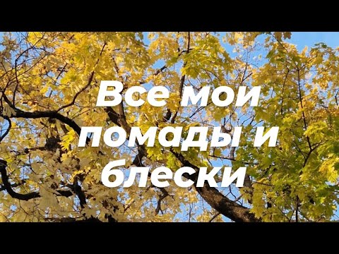 Видео: Инвентаризация, Ч.2 // Все мои помады и блески для губ 💄