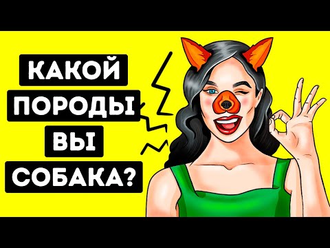 Видео: Кем бы вы были в собачьем мире? | Личностный тест