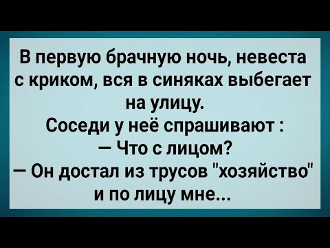 Видео: Как Жених Хозяйством Наказал Невесту! Сборник Свежих Анекдотов! Юмор!