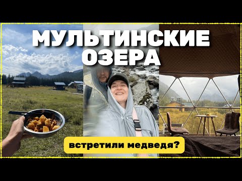 Видео: Алтай. Мультинские озера // Встретили медведя? Август 2025