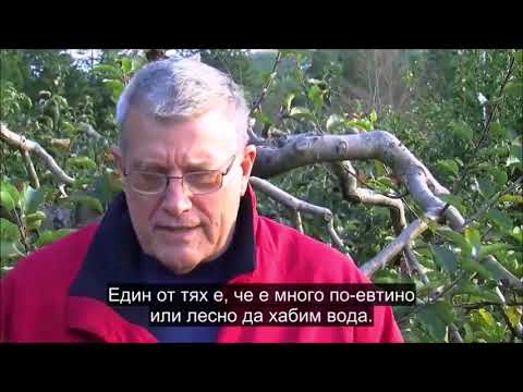 Видео: Пол Гаучи - най-добрият градинар