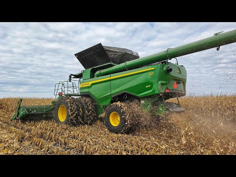 Видео: Долгий день уборки урожая