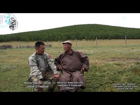 Видео: Mongolian shaman News-156. Монгол бөөгийн Их зайран Моко