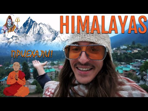 Видео: Забрал паспорт в ДЕЛИ! Приехали в ГИМАЛАИ! Встретил маркетолога в МАНАЛИ! Поиски дома