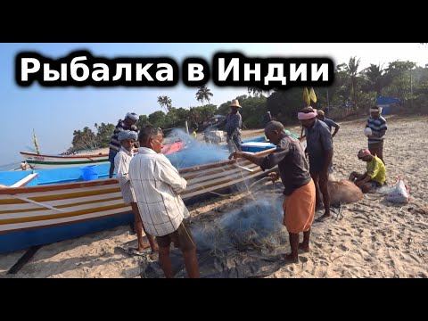 Видео: Рыбалка в Индийском океане, Керала! Как проходит аукцион по продаже рыбы