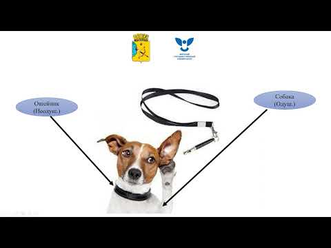 Видео: Одушевленные и неодушевленные существительные