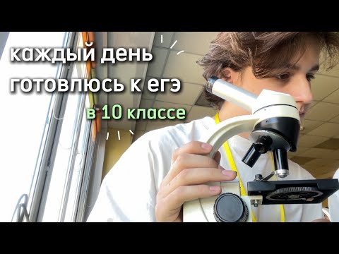 Видео: каждый день готовлюсь к егэ в 10 классе