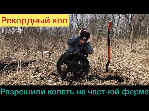 Видео: РАЗРЕШИЛИ ПОКОПАТЬ НА ЧАСТНОЙ ФЕРМЕ/РЕКОРДНЫЙ КОП
