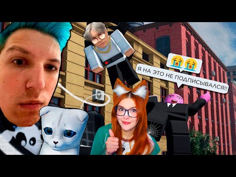 Видео: Паутина Твитча Сенчоус Реакция