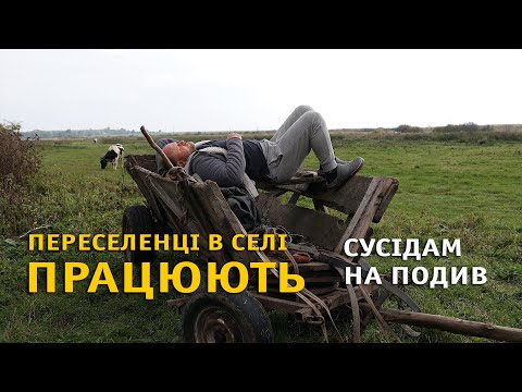 Видео: Живу у глухому селі вже 3 роки. Життя з нуля.