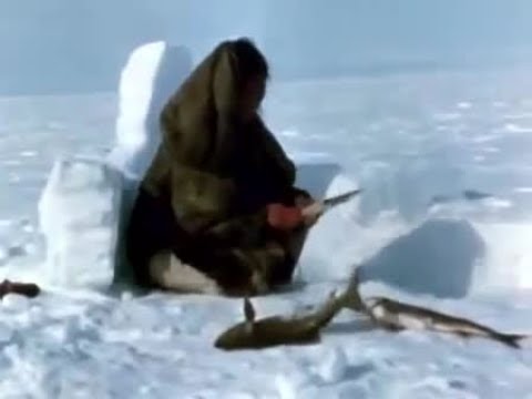 Видео: Winter fishing (Inuit). Зимняя рыбалка