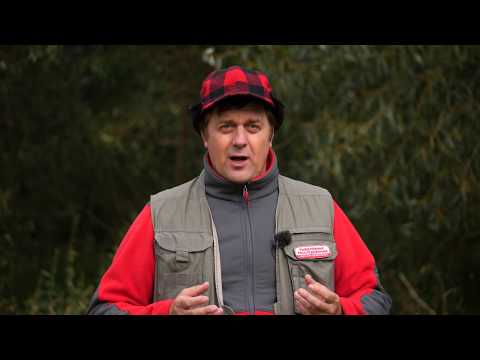 Видео: Флюорокарбоновые узлы \ Рыболовные расследования. Сезон 3.