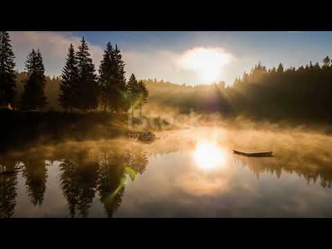 Видео: СИЛА- ВОЛЮШКА