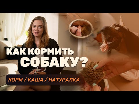 Видео: Как кормить собаку? Корм, каши, натуралка — что выбрать?