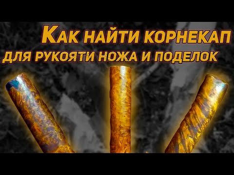 Видео: КАК НАЙТИ БЕРЕЗОВЫЙ КОРНЕКАП ДЛЯ РУКОЯТИ НОЖА И КРАСИВЫХ ПОДЕЛОК.