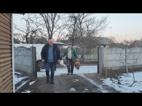 Видео: зима пришла в феврале, потери и прибавления в хозяйстве