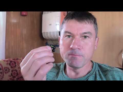 Видео: Паслён чёрный, СОРНЯК КОТОРЫЙ ЕДЯТ!