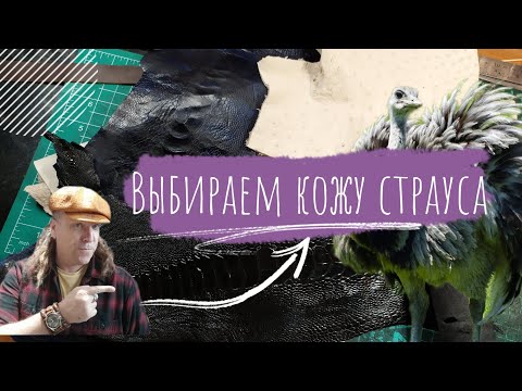 Видео: Выбираем кожу страуса | Советы для начинающих