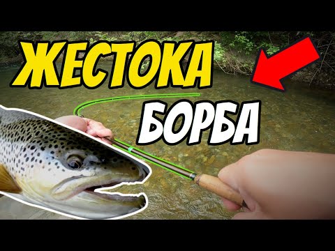 Видео: Огромен ЗВЯР ме побърка! Риболов на трофейна пъстърва