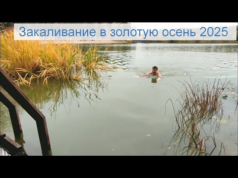 Видео: Закаливание в золотую осень 2025