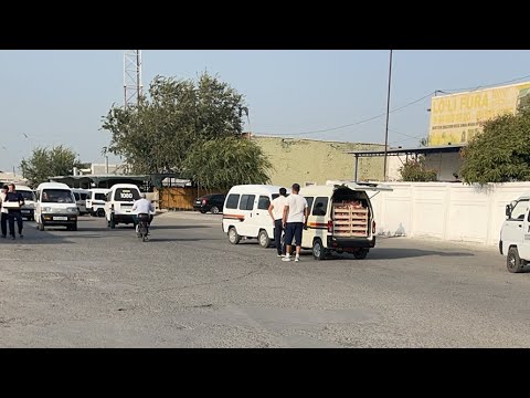 Видео: Олтиариқ узум бозори 2025.15.сентябрб