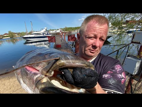 Видео: ОГРОМНЫЕ ХРУСТЯЩИЕ ГОЛОВЫ В КАЗАНЕ рецепт казан рыба