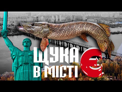 Видео: Ловлю щук на твічинг в місті і отримую несподівані результати!