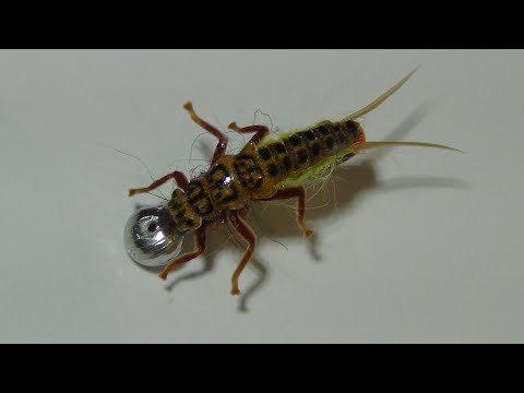 Видео: ПРОСТАЯ "ВЕСНЯНКА-КОНСТРУКТОР"