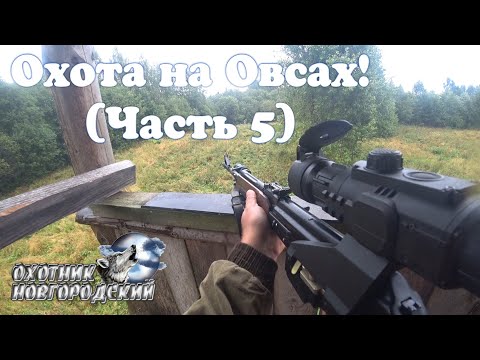 Видео: Охота на Овсах! (часть 5)