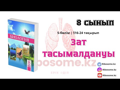 Видео: 8-сынып Зат тасымалдауы §16-24 тақырып 5-бөлім / Ribosome.kz / Ерік Әділ