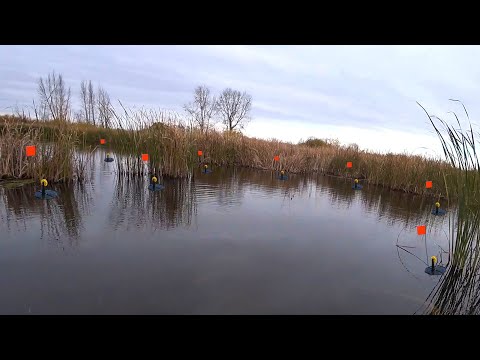 Видео: Расставил ЖЕРЛИЦЫ на новом месте и был в ШОКЕ!!! Здесь щуки немерено!!!