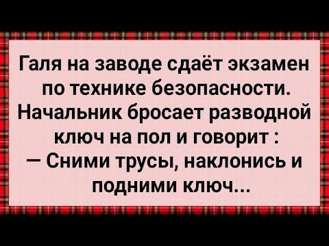 Видео: Как Галя На Заводе Экзамен Сдавала! Сборник Свежих Анекдотов! Юмор!