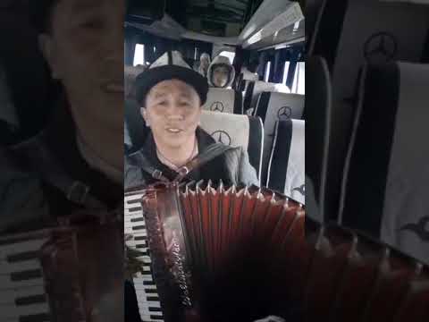 Видео: Женишбек жарды