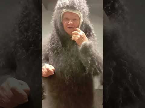 Видео: Волгоградские пуховые дары для вас и для вашей детворы