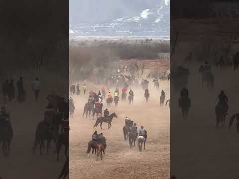 Видео: Бузкаши Точикобод 18 01 2025