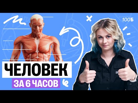 Видео: Человек за 6 часов | ЕГЭ по биологии 2025 | Ксения Напольская