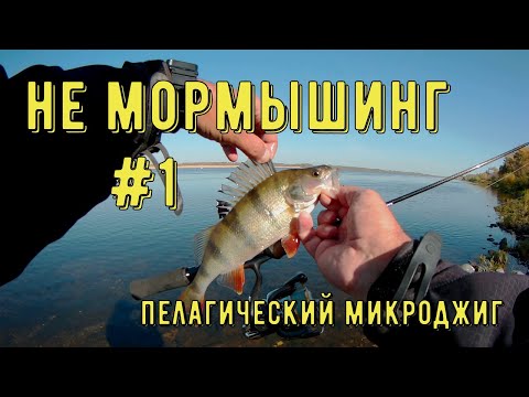 Видео: Не мормышинг! Пелагический микроджиг на течении. Рыбалка на р.Волга. Часть первая.