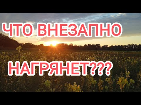 Видео: 🍀без камней🍀ЧТО ВНЕЗАПНО НАГРЯНЕТ??? 