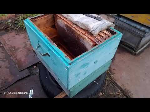 Видео: Об"единяем две слабые семьи