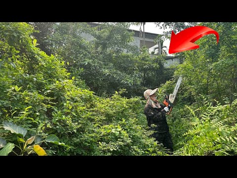 Видео: Очистить Заброшенный Дом Полная трансформация Вырезать Заросшую траву Убрать в саду Расслабить Мозг