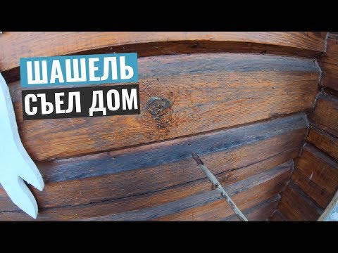 Видео: Как избавиться от шашеля. Как эффективно бороться и уничтожить короеда