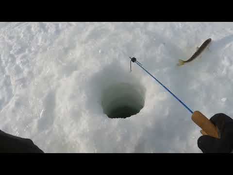 Видео: Камчатка,живем на льду и ловим корюшку поселок Октябрьский..